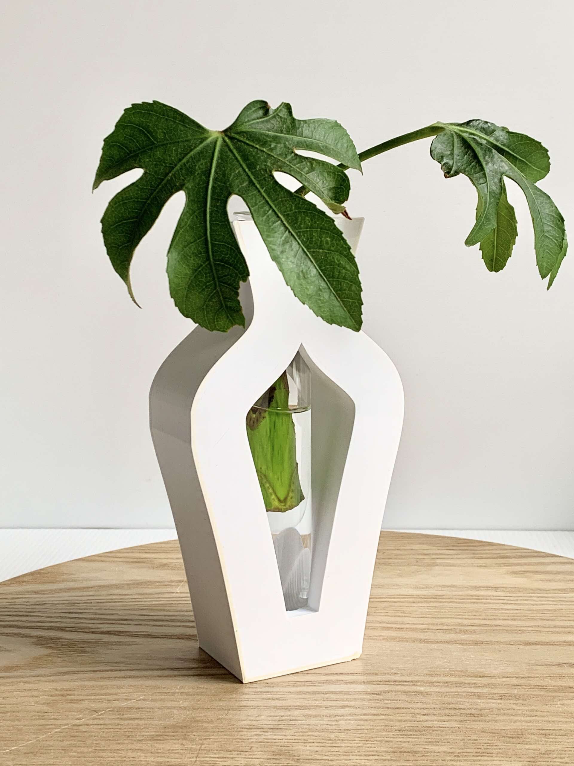 Hydroponic Vase (2 piece) The Twig