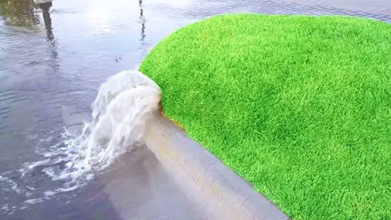 Grass Waterbeds The Hydrologic Oddity Known as Lawn Blister The