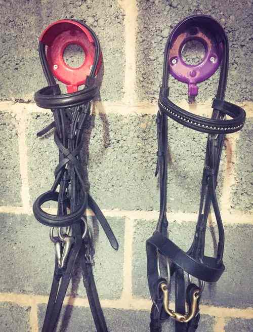Horse Tips and Tricks for Tack Care & Cleaning The Ultimate Equestrian