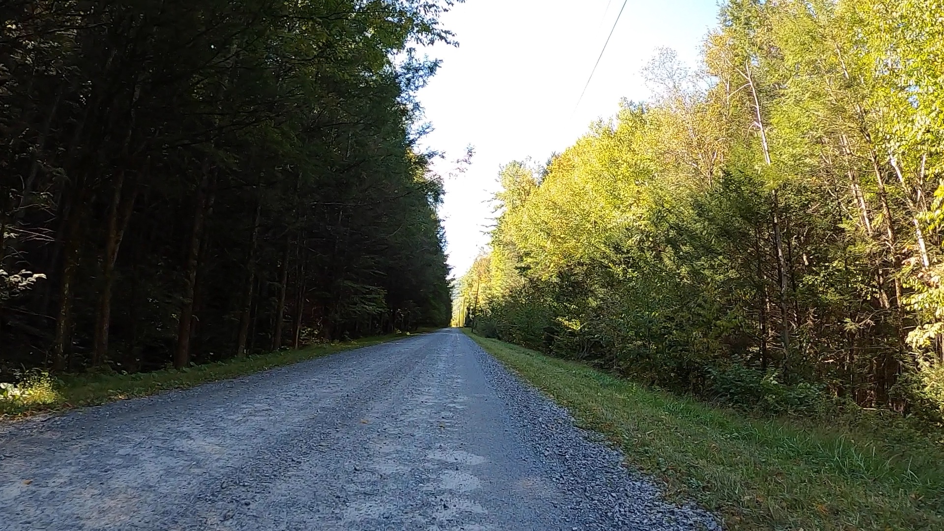 Public Lands Ride 2021 Elk State Forest The Unpaved Hub