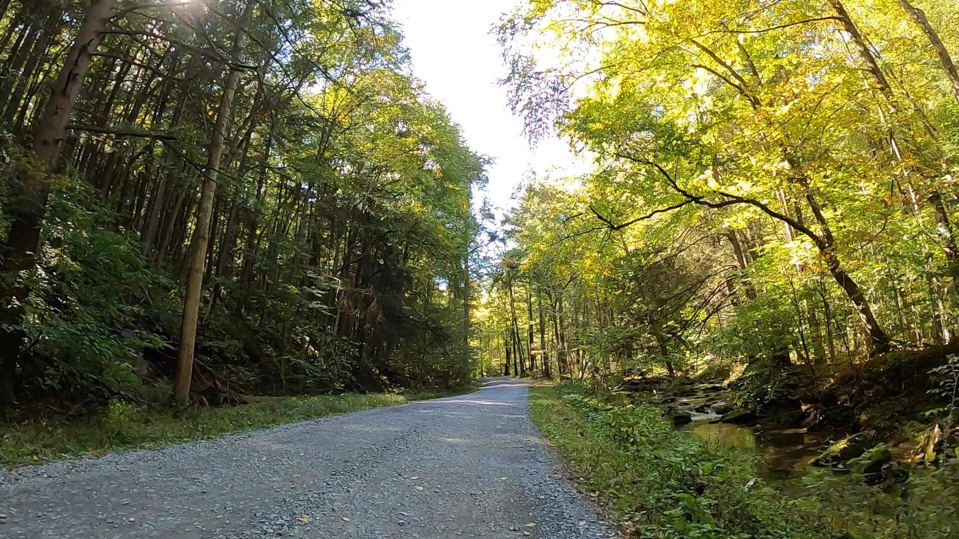 Public Lands Ride 2021 Elk State Forest The Unpaved Hub