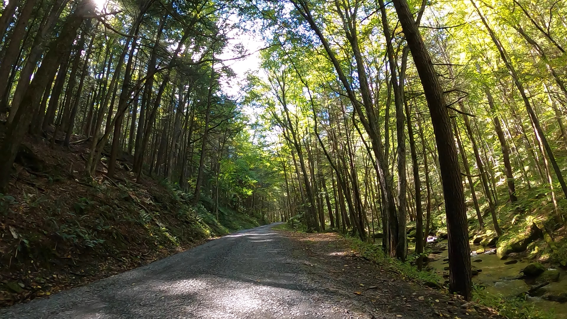 Public Lands Ride 2021 Elk State Forest The Unpaved Hub