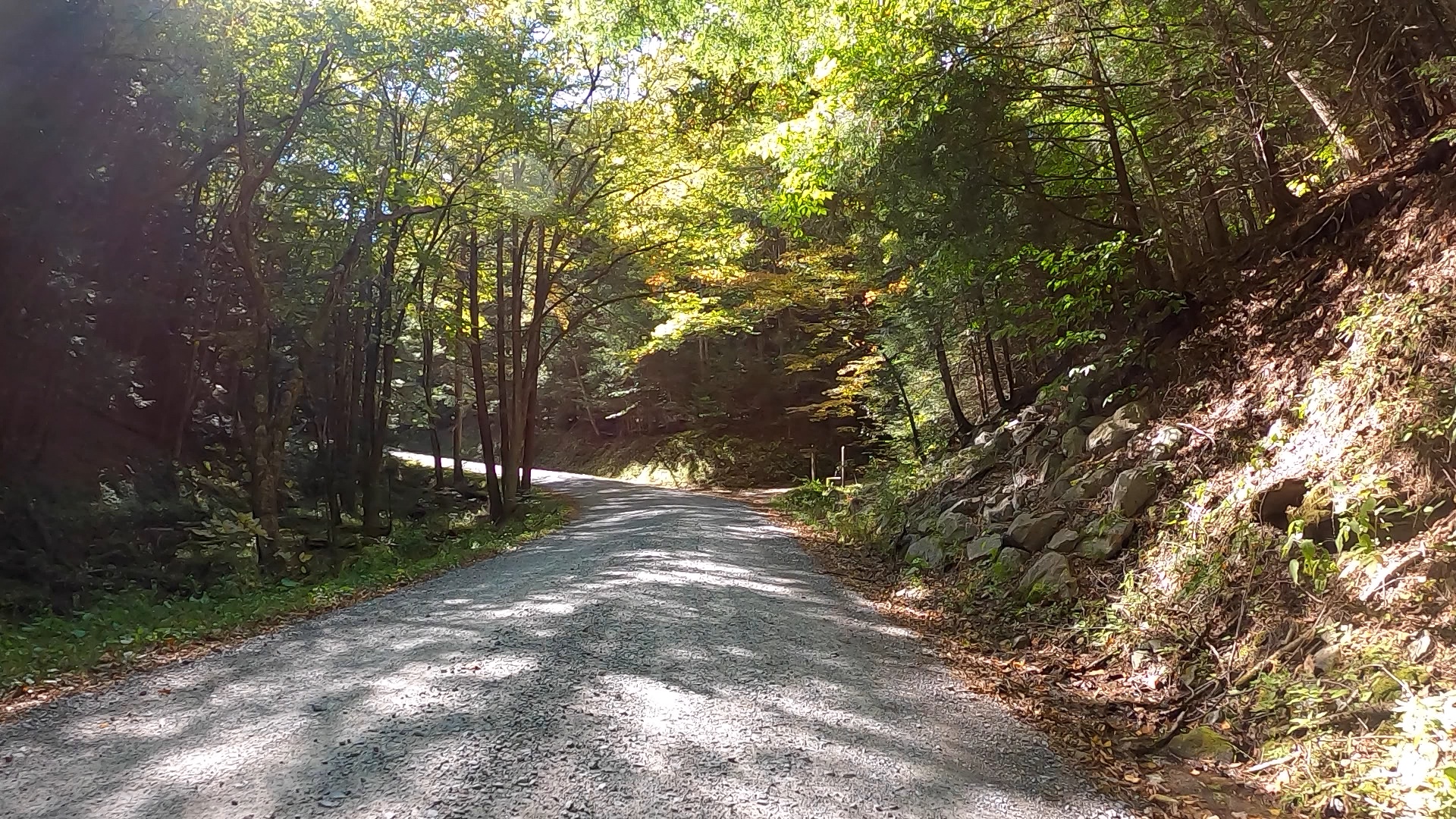 Public Lands Ride 2021 Elk State Forest The Unpaved Hub