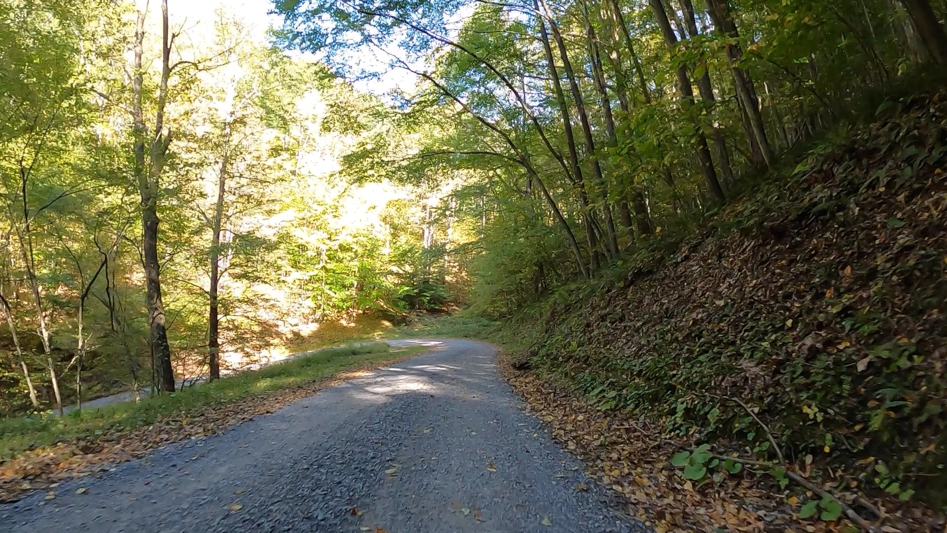 Public Lands Ride 2021 Elk State Forest The Unpaved Hub