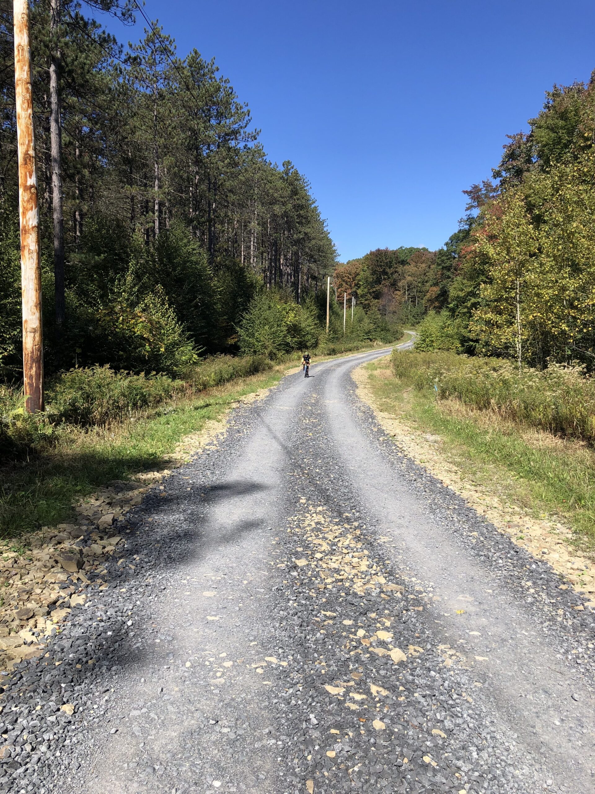 Public Lands Ride 2021 Elk State Forest The Unpaved Hub