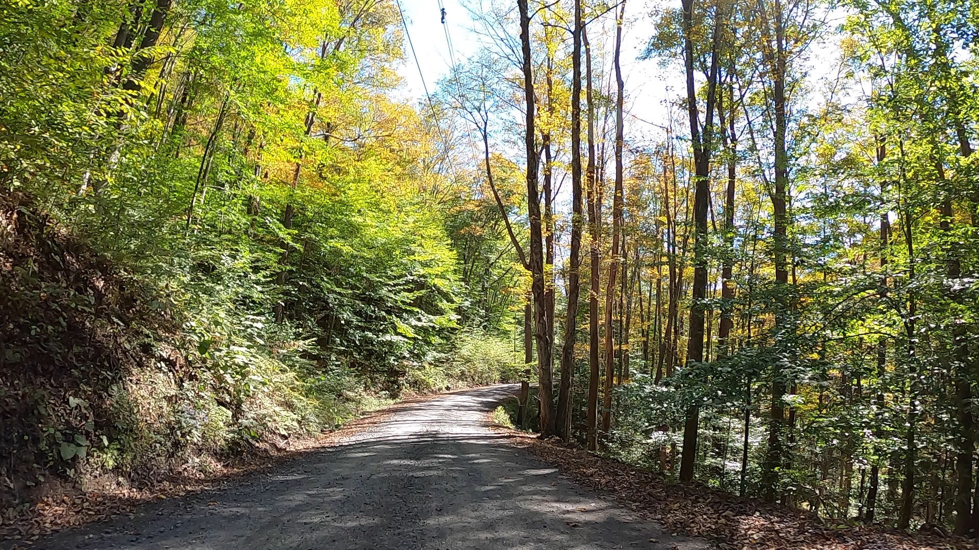 Public Lands Ride 2021 Elk State Forest The Unpaved Hub