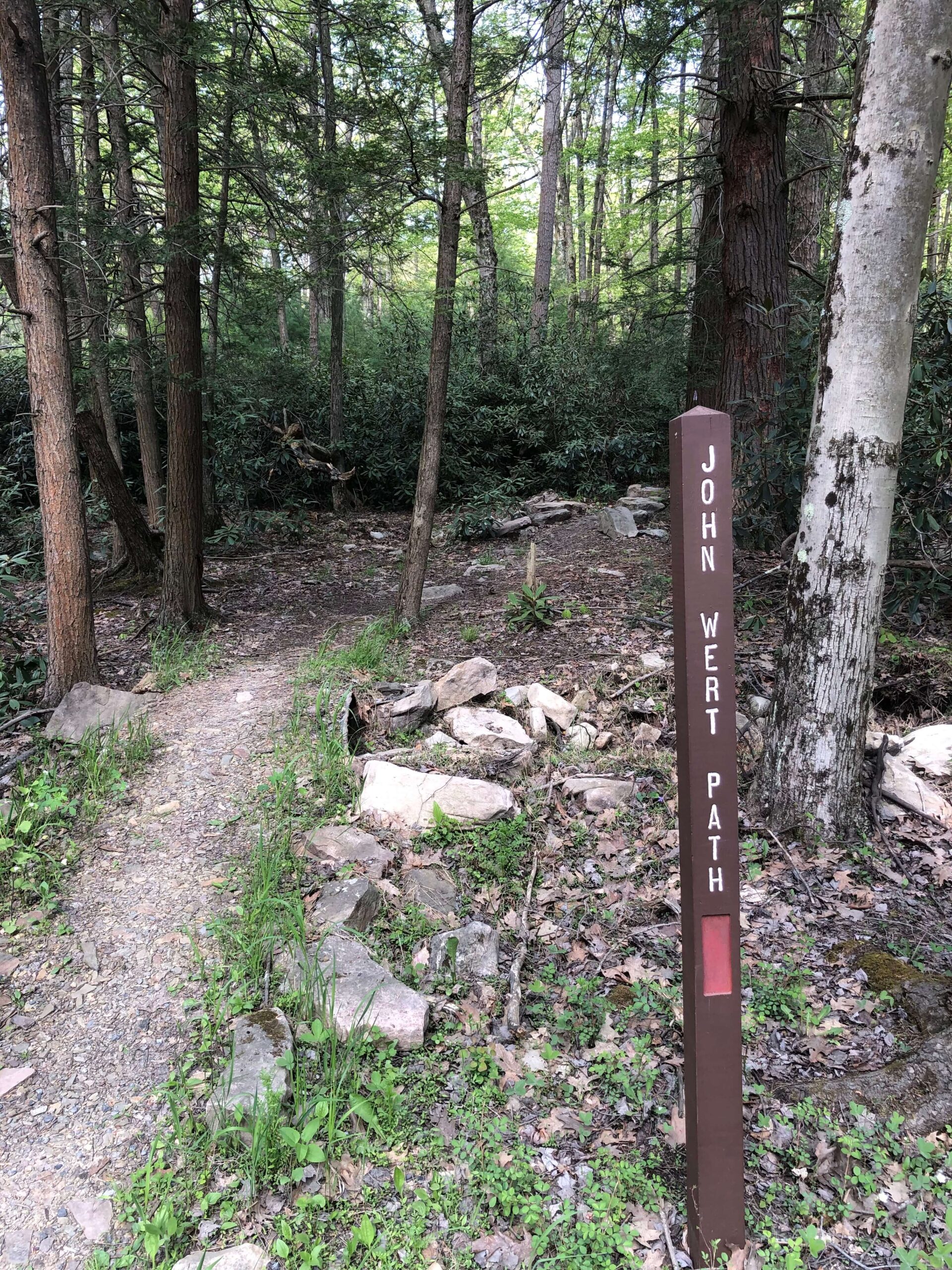 Social Media Shares Rothrock State Forest Gravel/MTB Route w/ Tussey