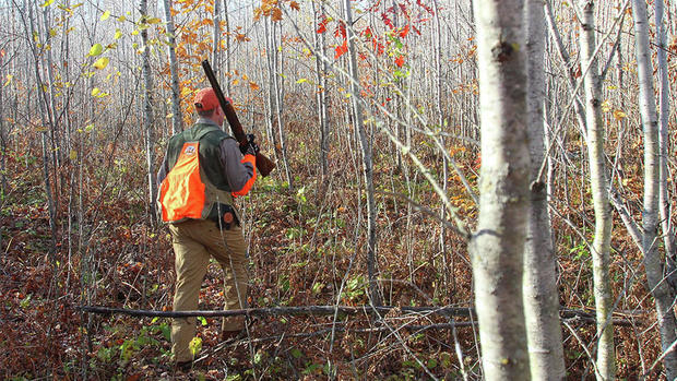 Grouse Hunting Without A Dog The Upland Hunter