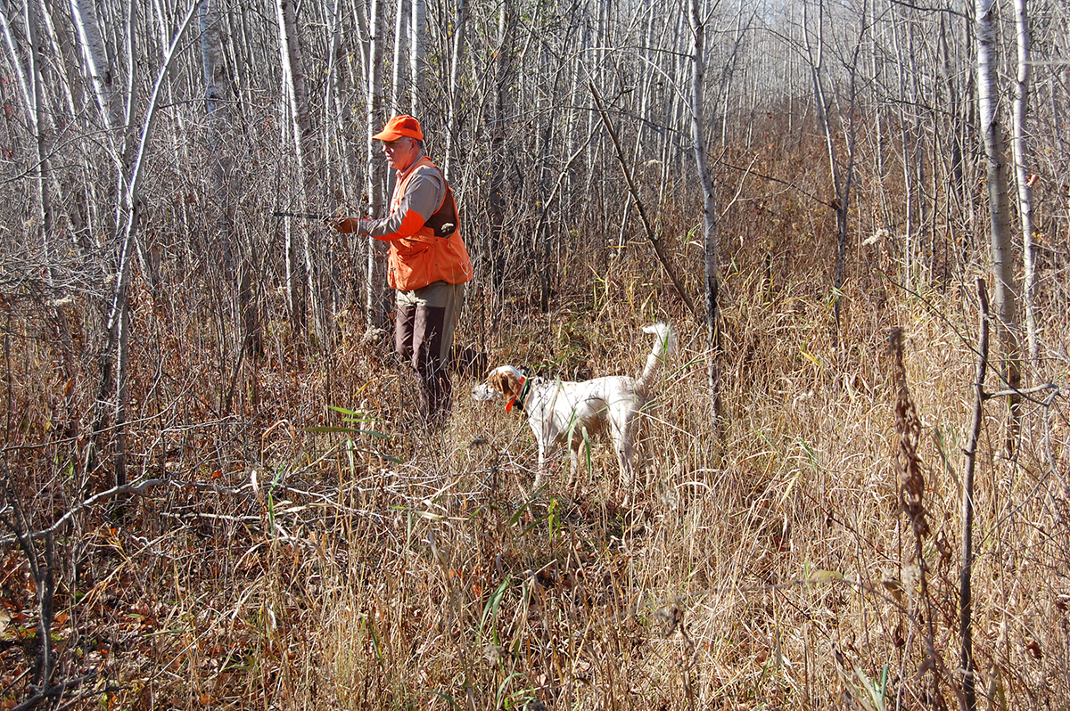 Improve Your Shooting In The Grouse Woods The Upland Hunter
