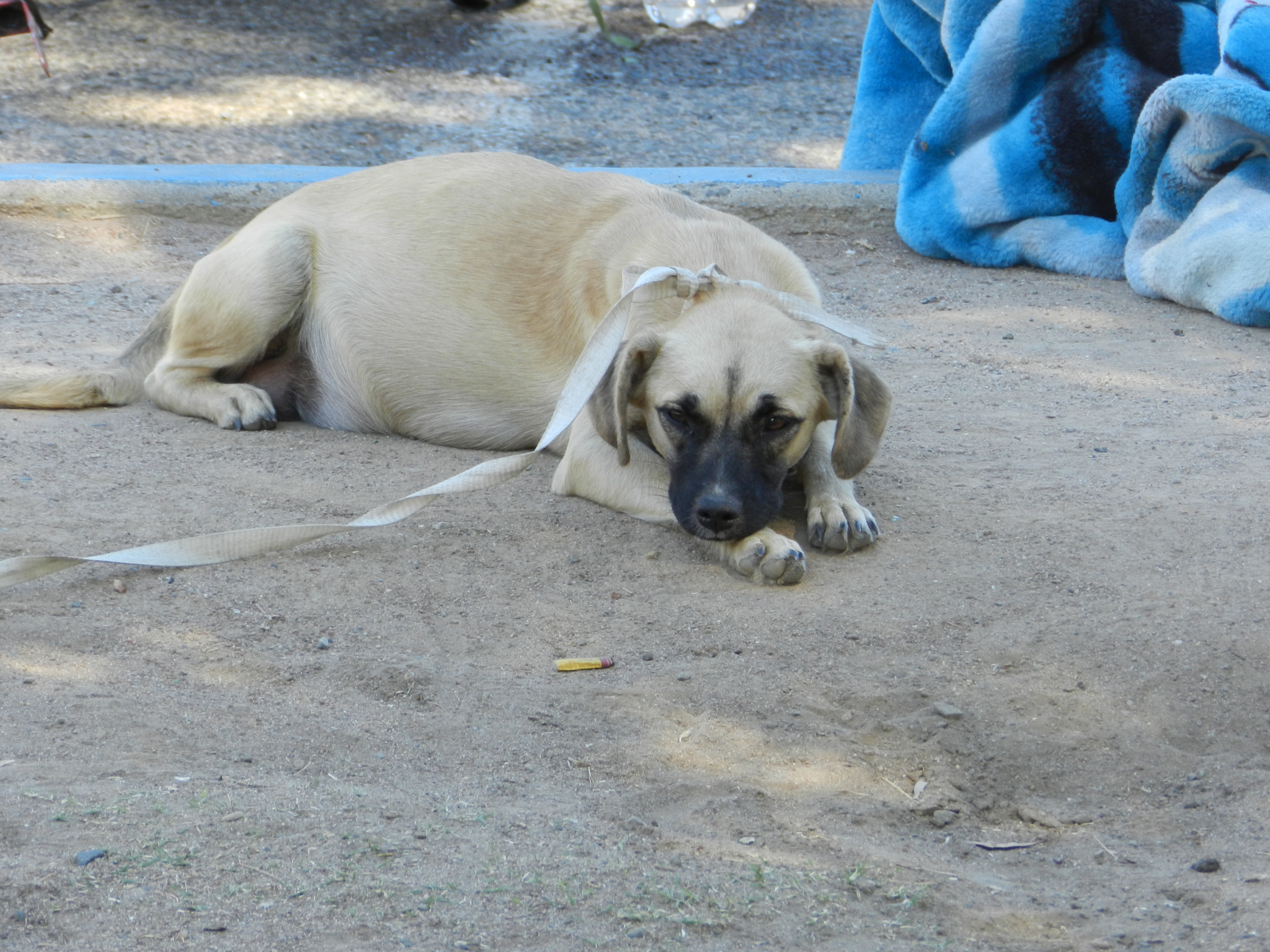 Who Favors Rousting Modesto's Homeless? The Valley Citizen