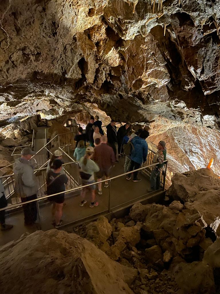 Custom tours/ Private events The Valley Hopper