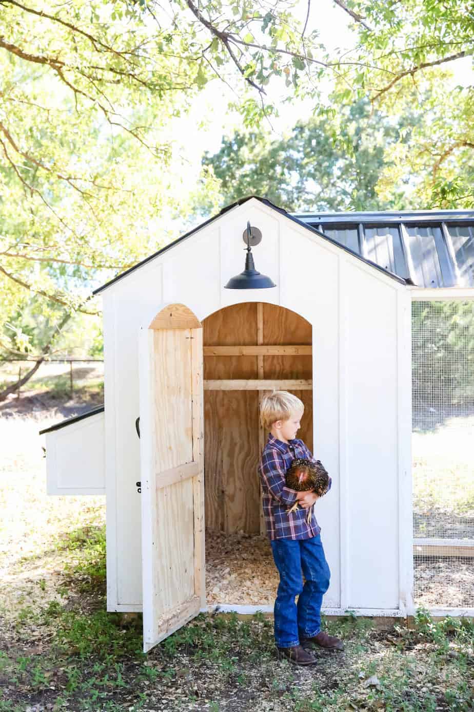 12 Reasons Why Chickens Stop Laying Eggs & How to.