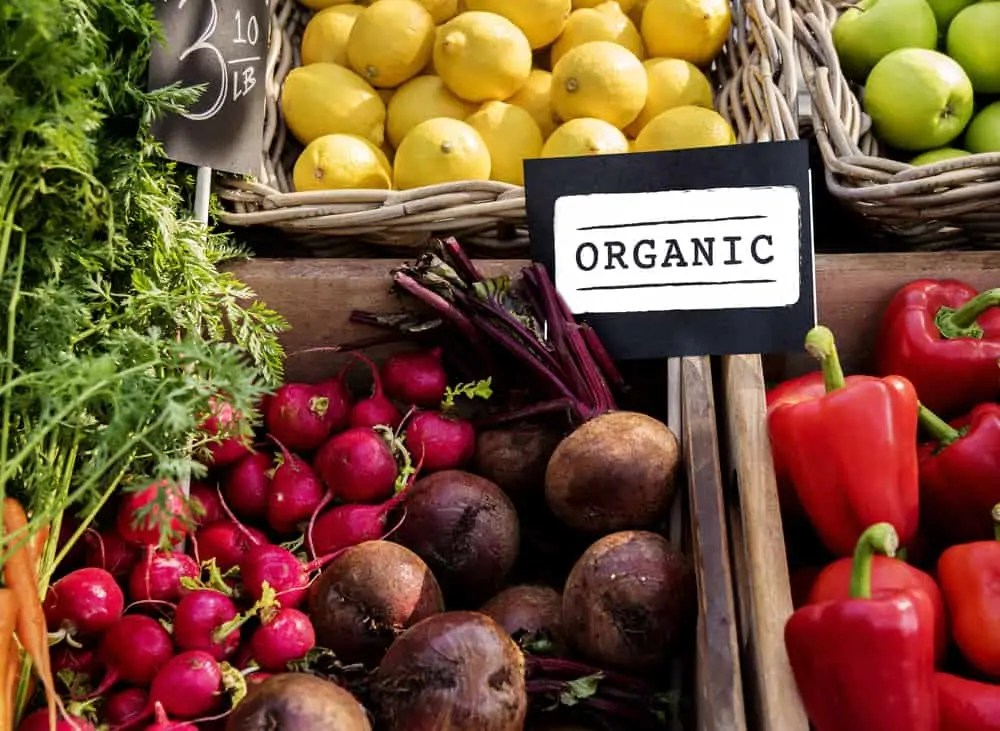 What does Brexit mean for veganism? The Vegan Review