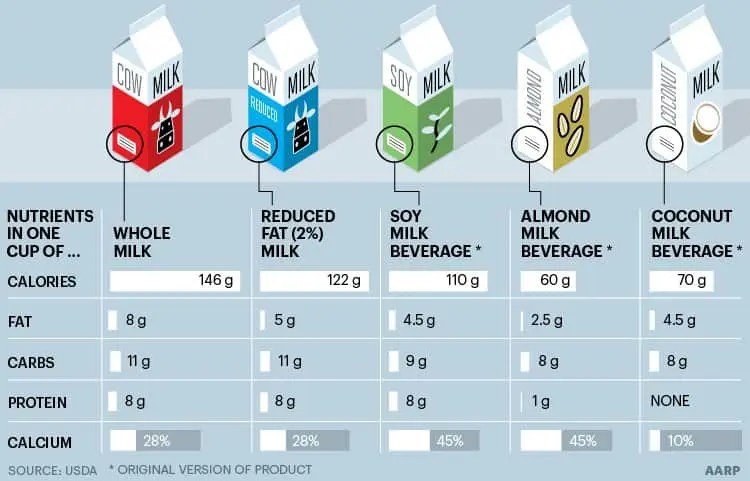 25 Best Plant Based Milk Alternative of All Time to Fit Your Feng Shui