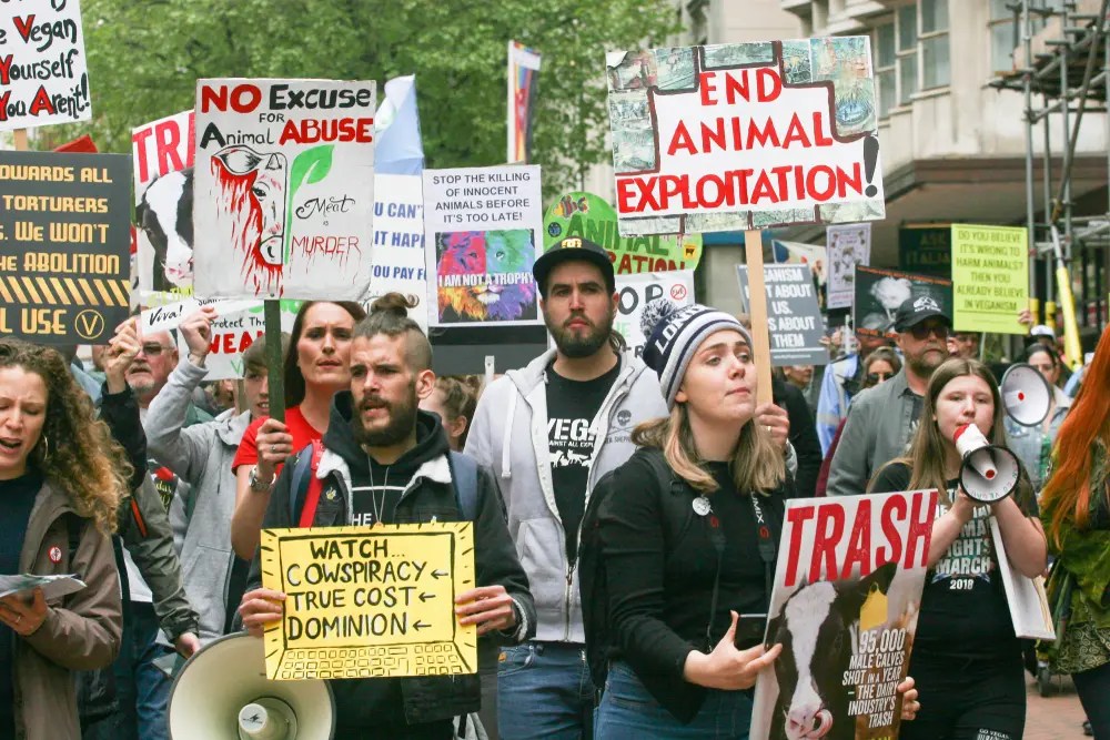 How many types of vegans are there? The Vegan Review