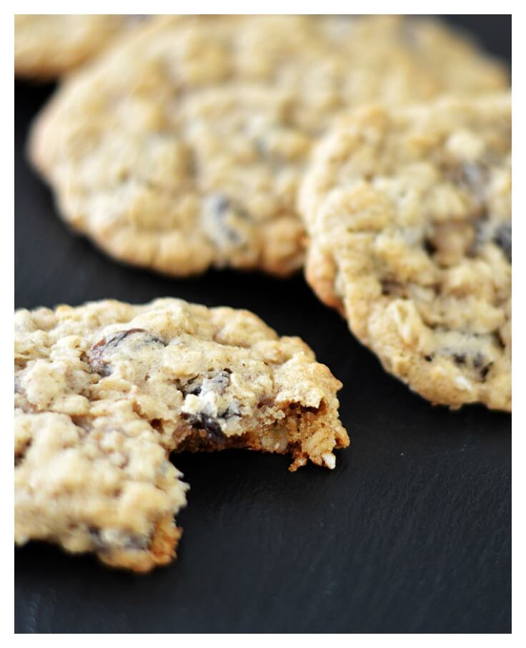 Easy Vegan Oatmeal Raisin Cookies TheVegLife