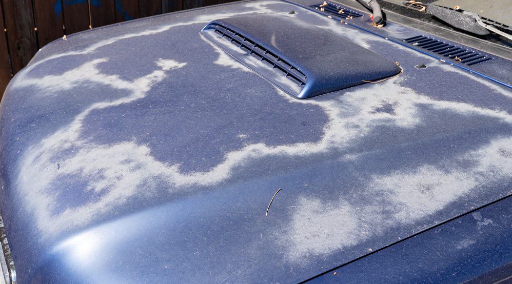What is Car Paint Oxidation? Signs, Prevention, More - The Vehicle Lab