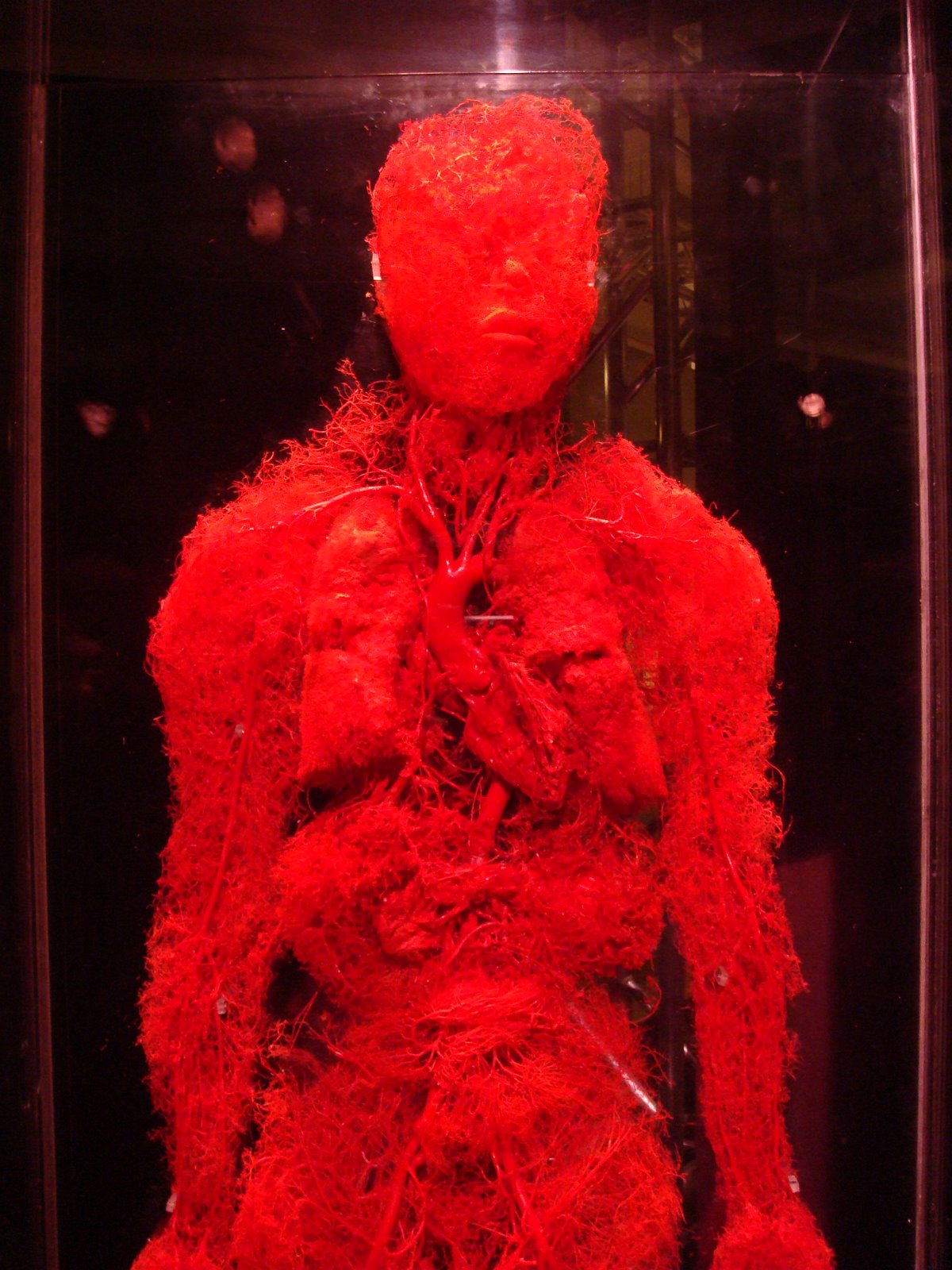 Highlights from Bodies Revealed The Velvet Rocket