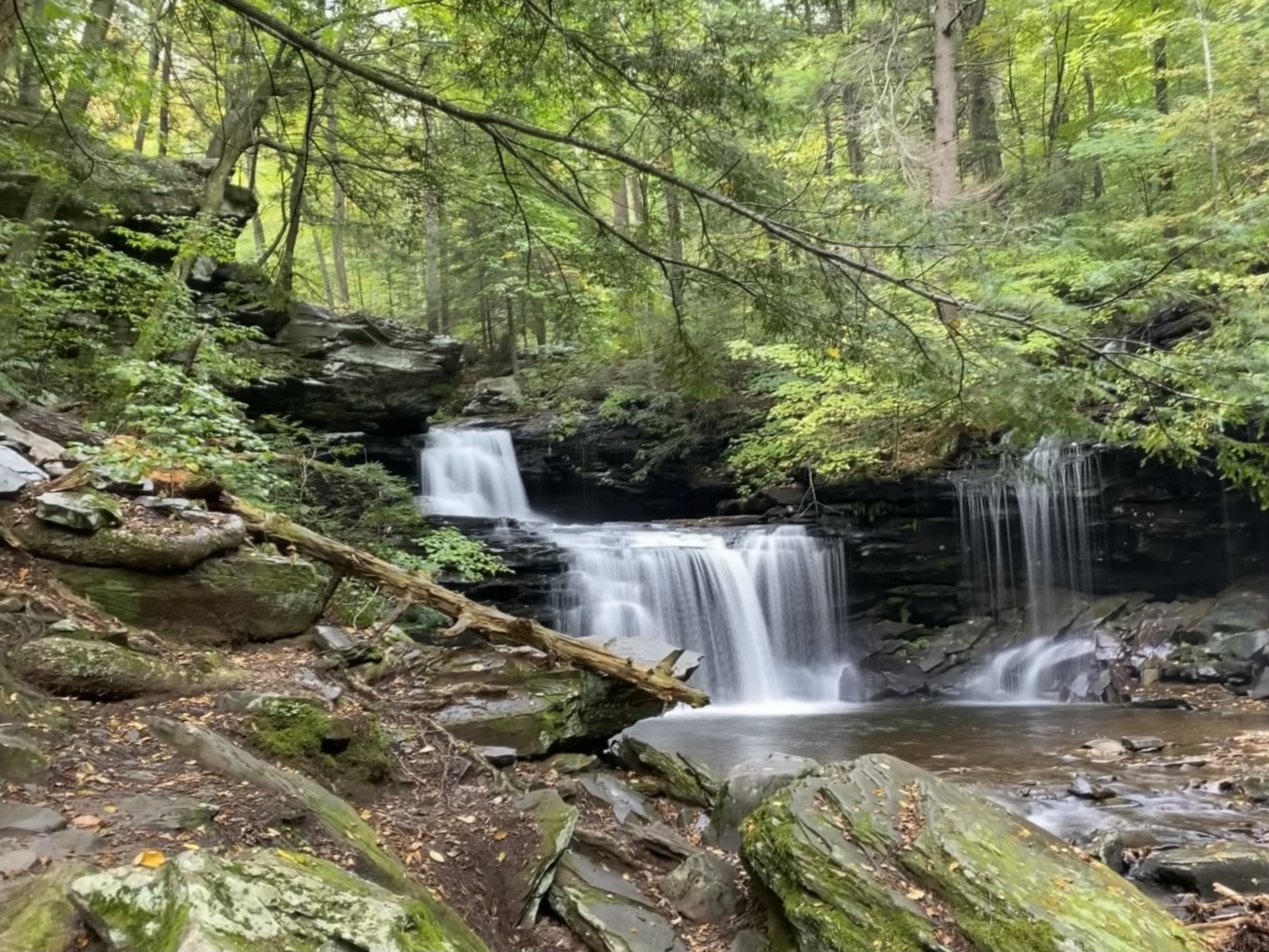 Ricketts Glen State Park The Venturesome Introvert