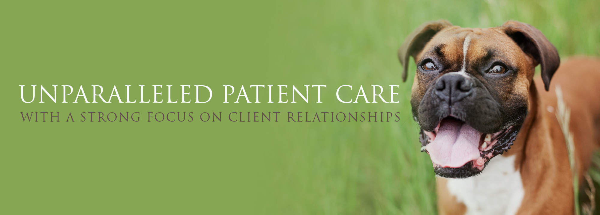 The Vet Center Gainesville, FL The Vet Center at Hunters Crossing