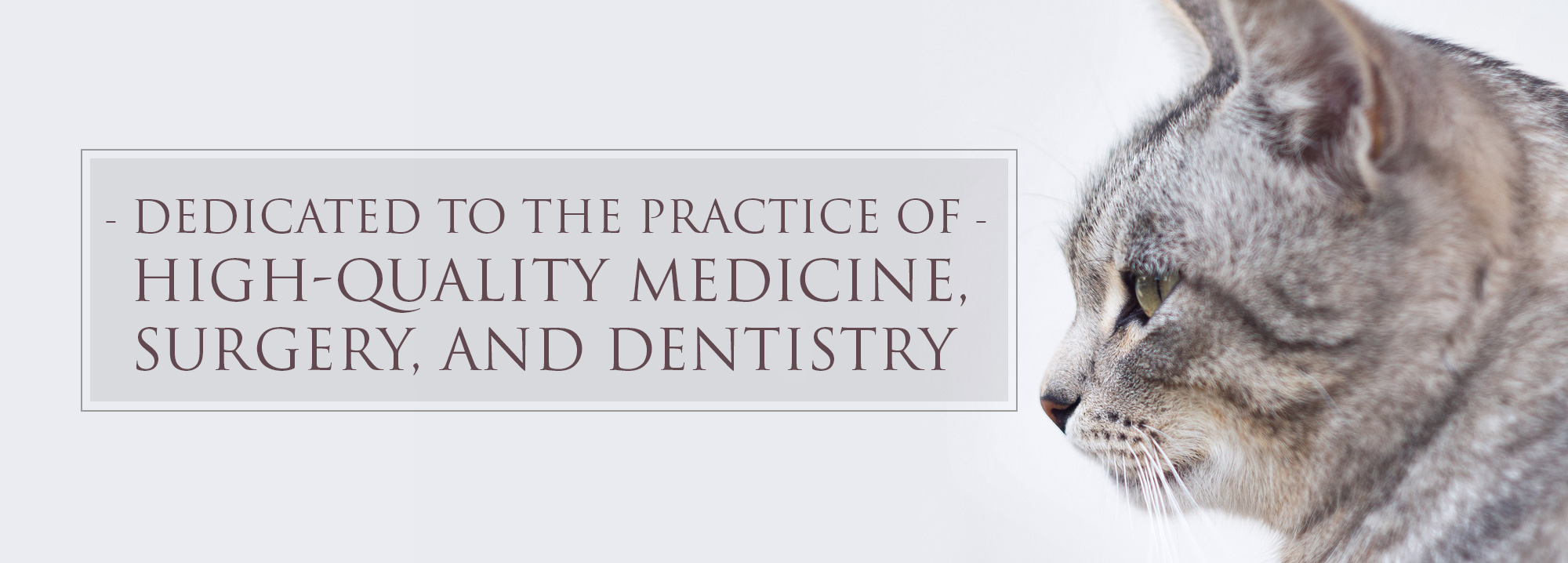 The Vet Center Gainesville, FL The Vet Center at Hunters Crossing