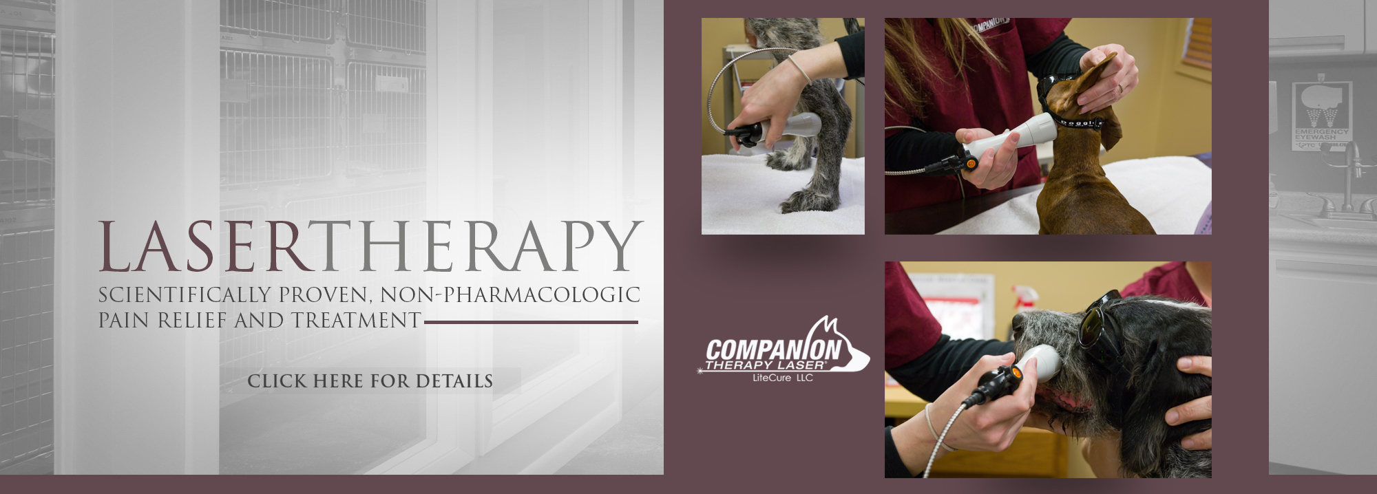 The Vet Center Gainesville, FL The Vet Center at Hunters Crossing