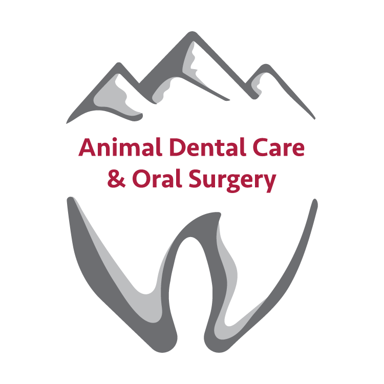 Dog & Cat Dentist in Colorado Springs, CO TheVetDentists
