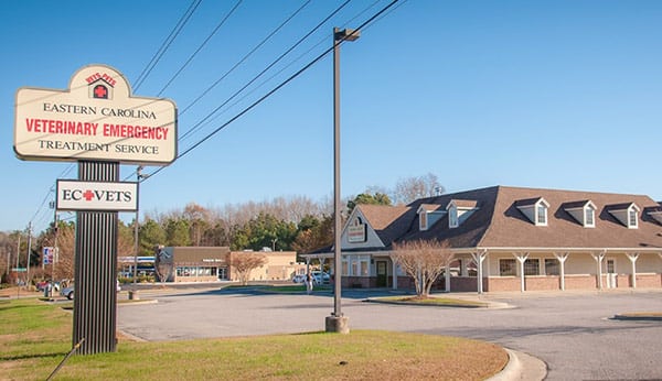 Picture Yourself at Vets Pets Veterinarian Wilson, NC Vets Pets