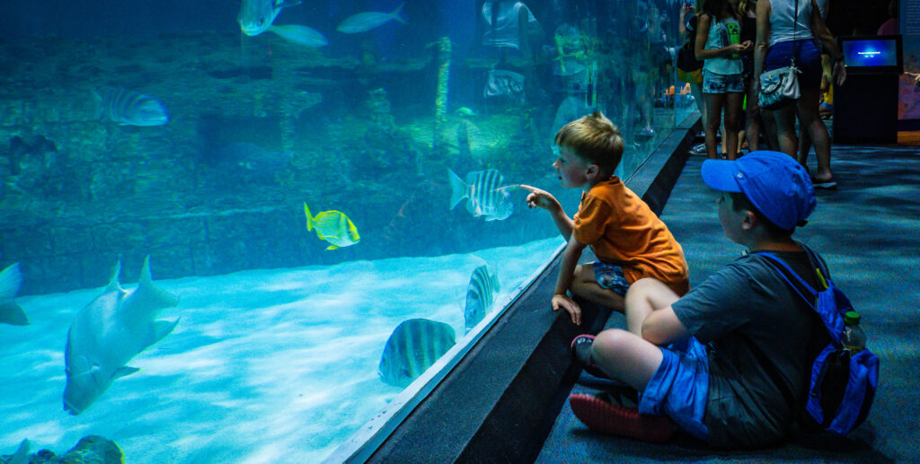 North Carolina Aquarium on Roanoke Island 2018 The Vickers Family!