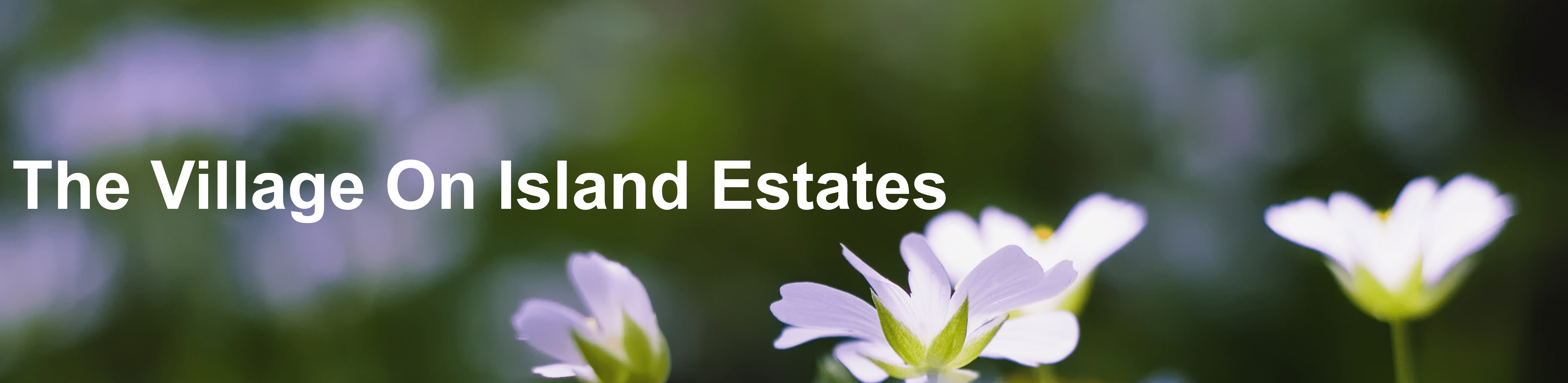 The Village On Island Estates Home