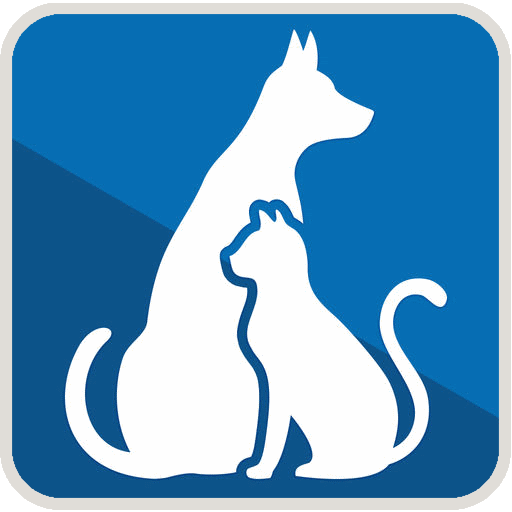 Pet Portal The Village Vet
