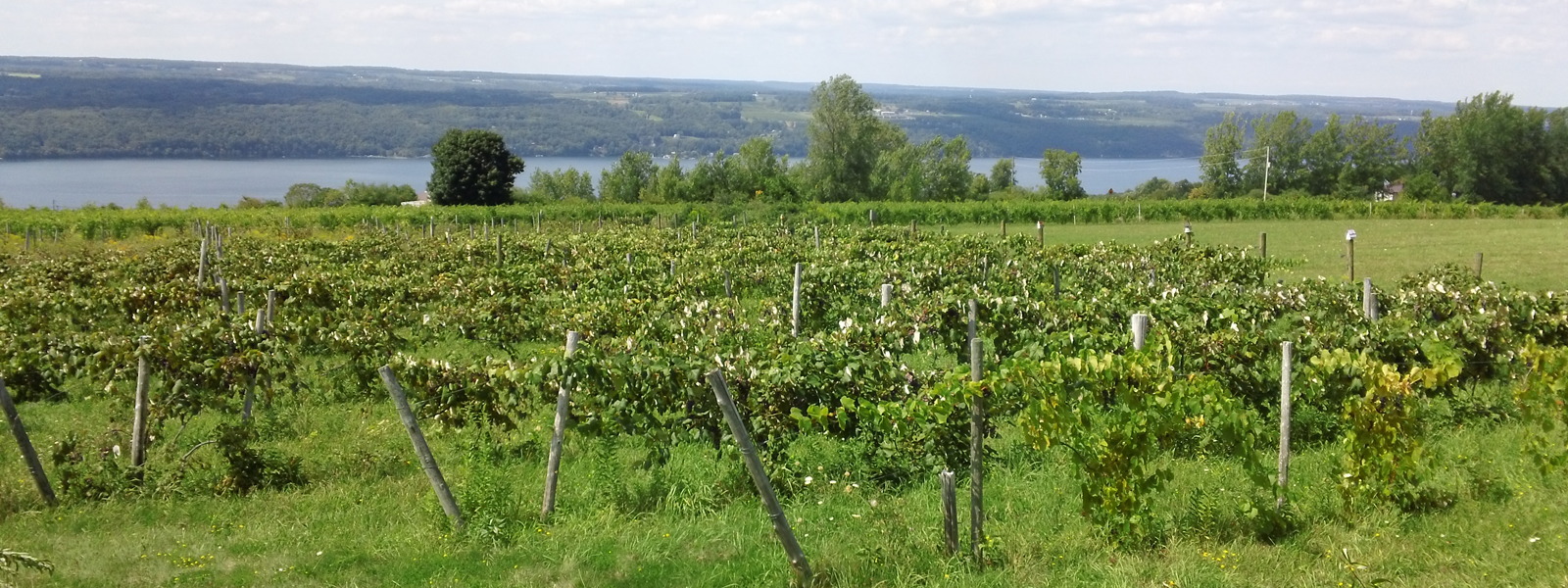 Vineyard Villas Book Your Stay in the Finger Lakes Today!