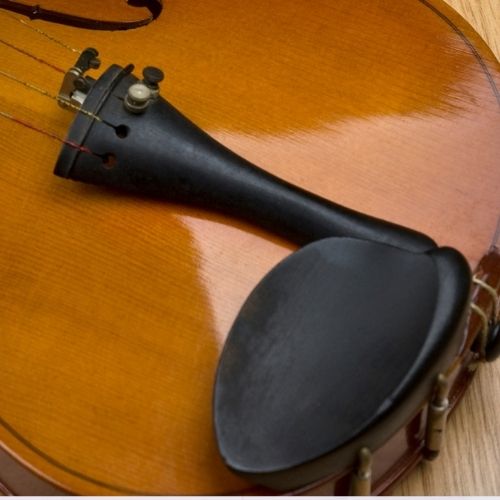 Parts Of The Violin Explained Theviolinlessons