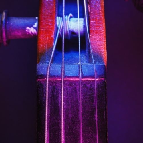 Parts Of The Violin Explained Theviolinlessons