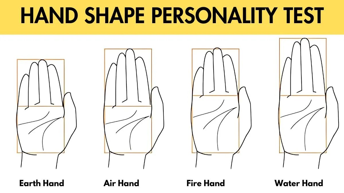 Hand Shape Personality Test Your Hand Shape Reveals Your Hidden