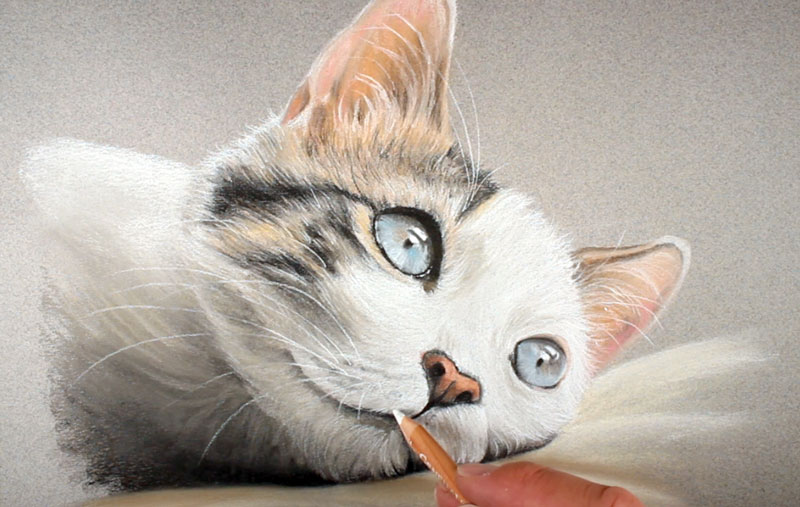 How to Draw a Cat with Pastels