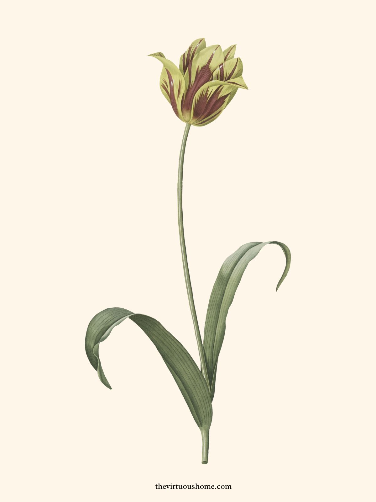 Dishwashing Routine The Best Way to Hand Wash Dishes The Virtuous Home