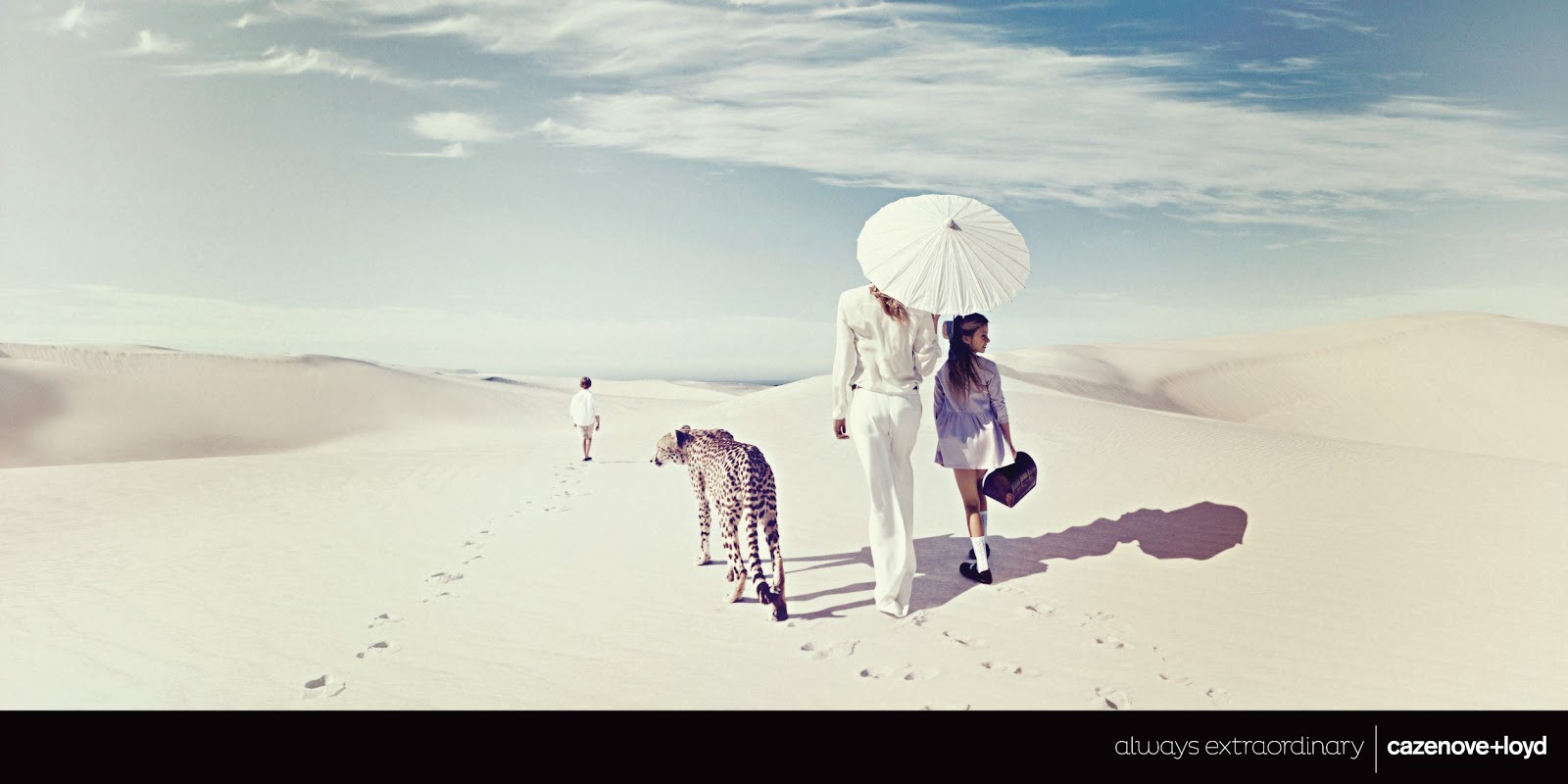 SNOB APPEAL (ADVERTISING) The Visual Communication Guy