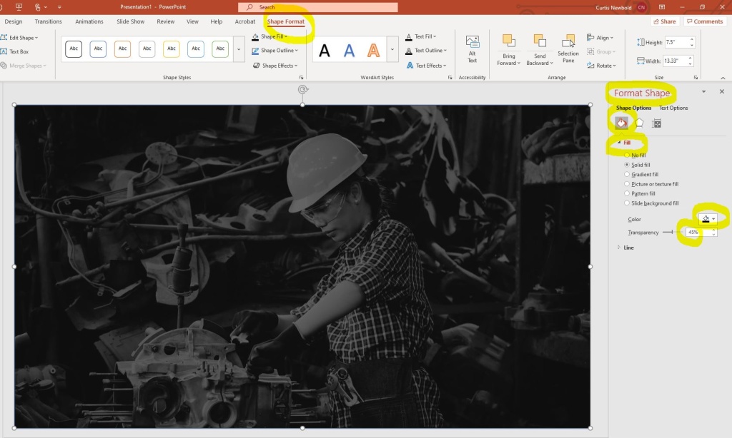 How to Highlight Portions of Images in PowerPoint The Visual