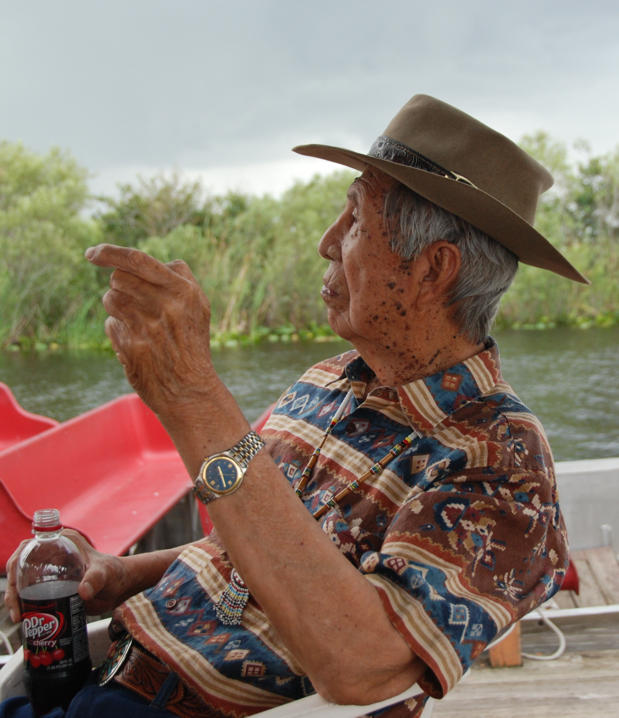 Buffalo Tiger” Everglades, Florida The Visual