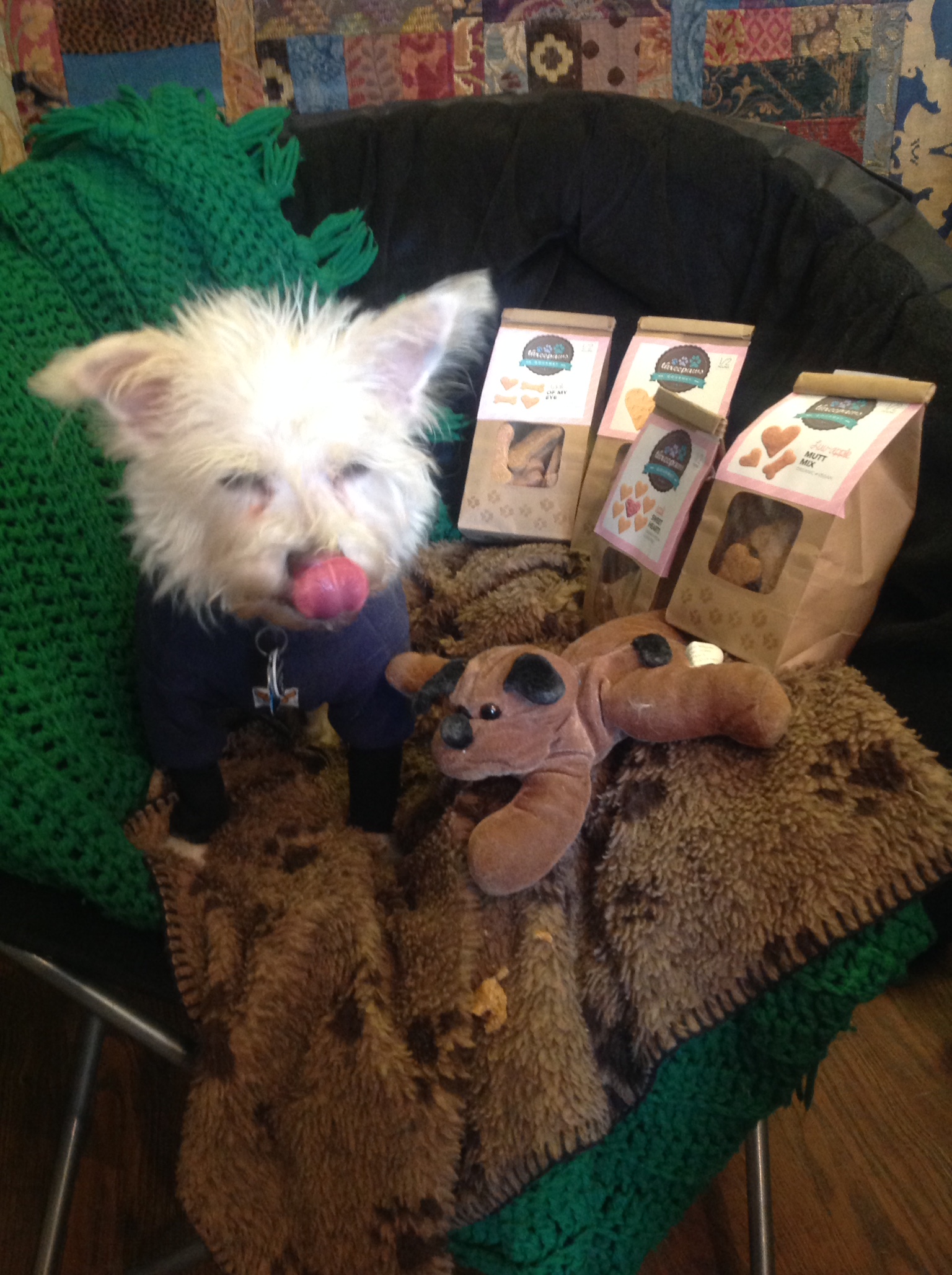 Product Review Three Paws Gourmet Dog Treats The "V" Word