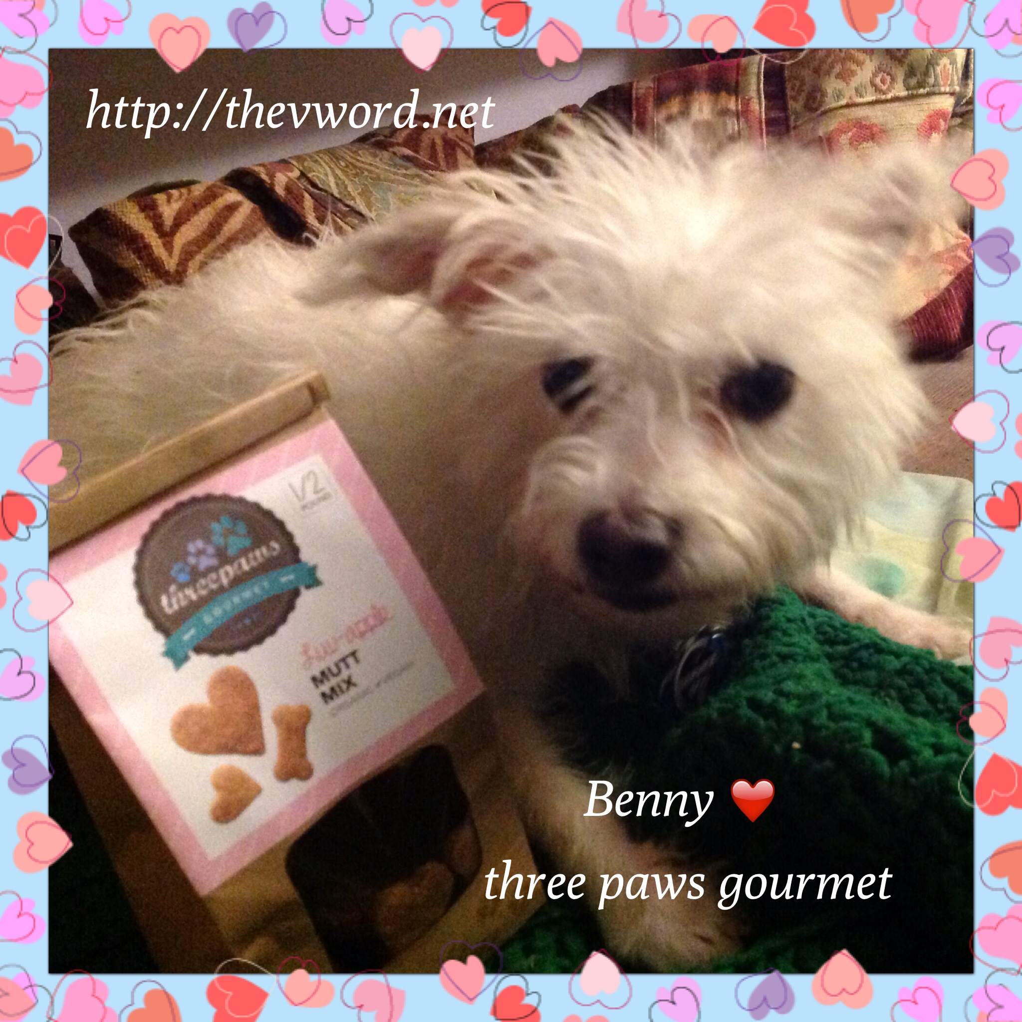 Product Review Three Paws Gourmet Dog Treats The "V" Word