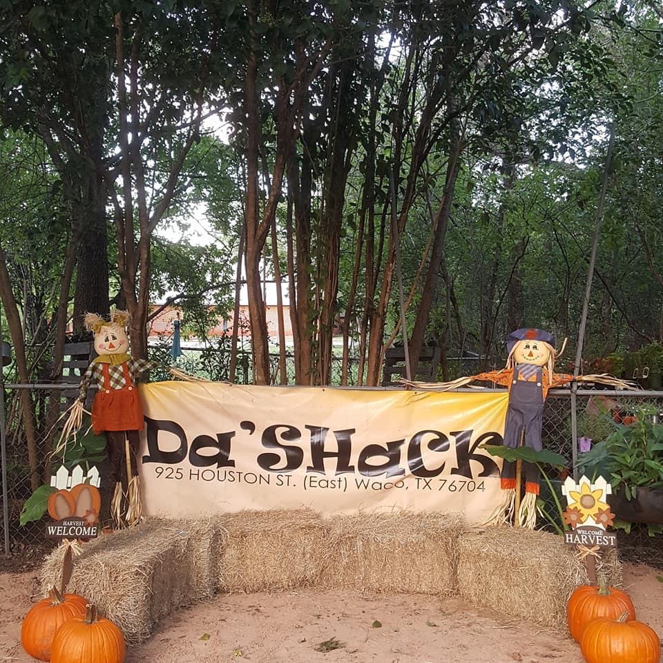 How You Can Grow A Thriving Fall Garden in Texas