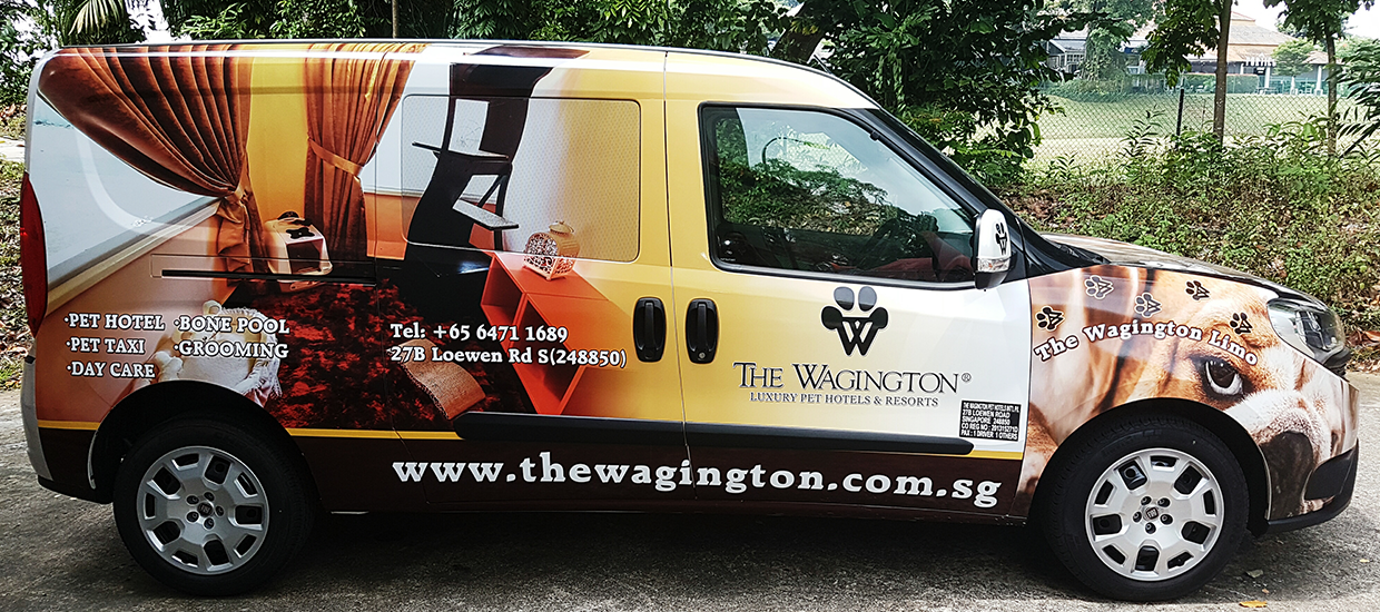 Luxe Pet Hotel Prices The O Guide