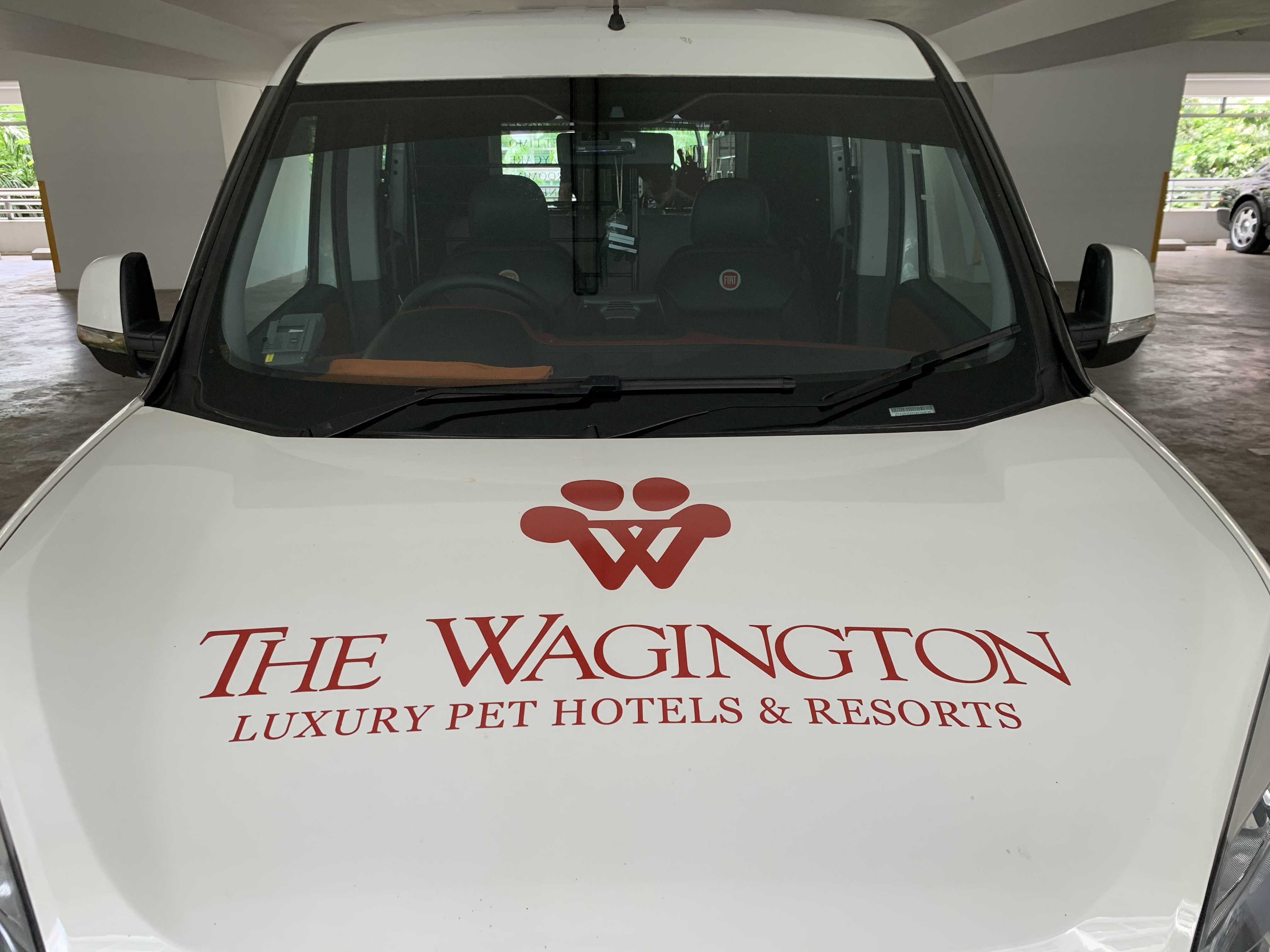 The Wagington Luxury Pet Hotels & Resorts