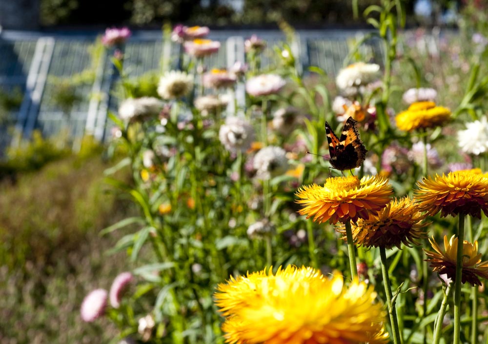 The Wagon House » Bed and Breakfast
