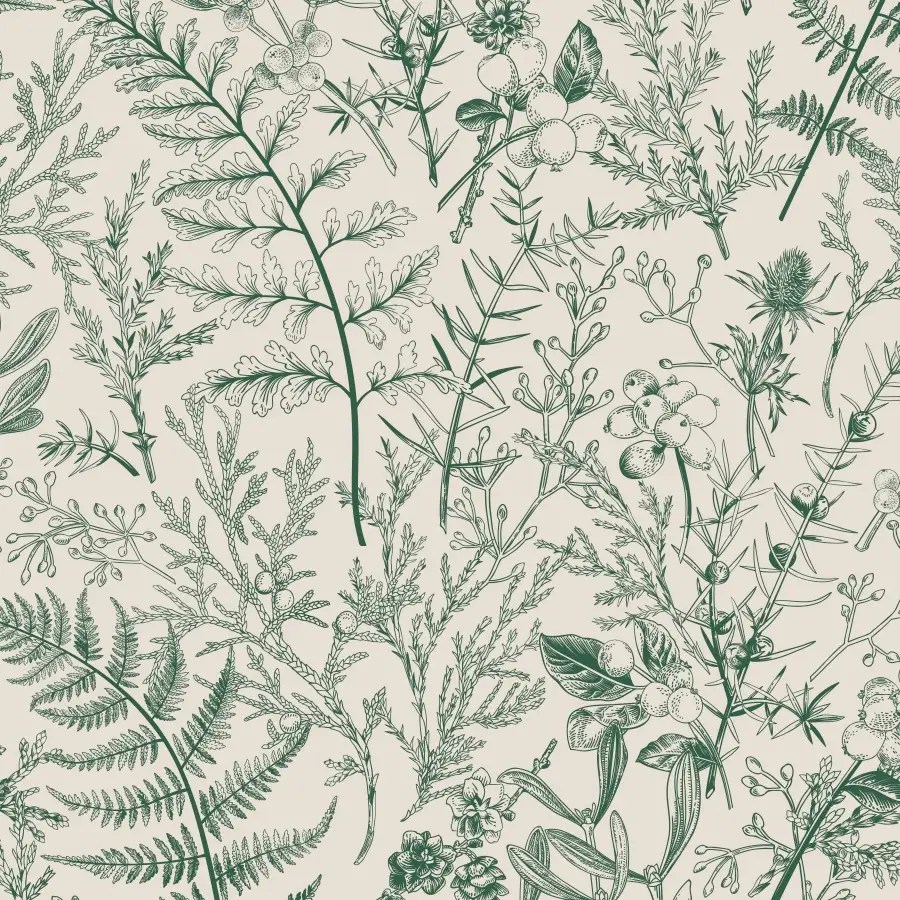 Botanical Fern Wallpaper Peel And Stick The Wallberry
