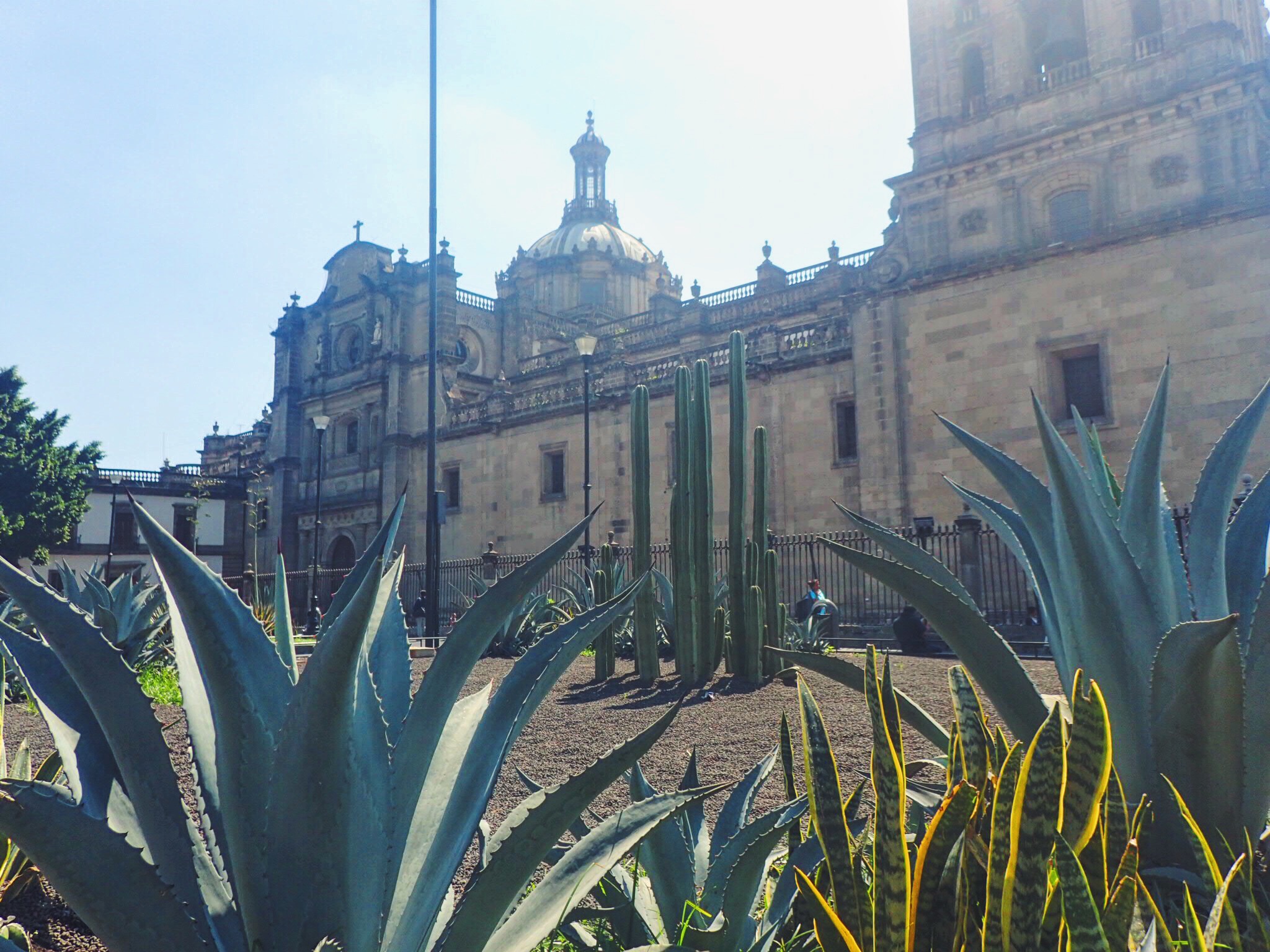 Centro Historico One Perfect Day in the Heart of Mexico City