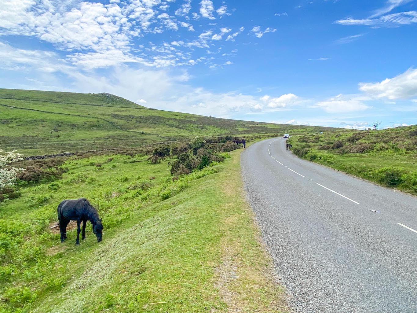 London To Cornwall 12 Amazing Places To Stop On Route! The