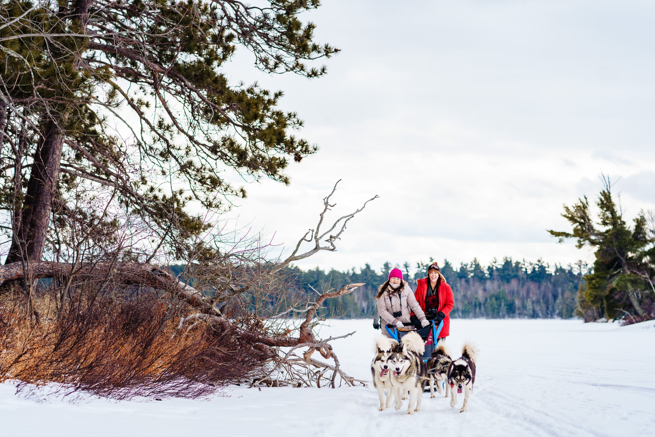 Dog Sledding in Minnesota Group Trip Highlights Week One The Wanderlust Rose